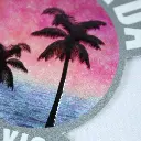 SW53.webp