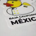 _MG_9204.webp