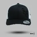PW13.webp