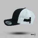 PW15.webp