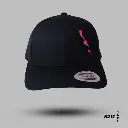 PW1.webp