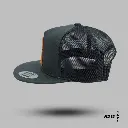 PW19.webp