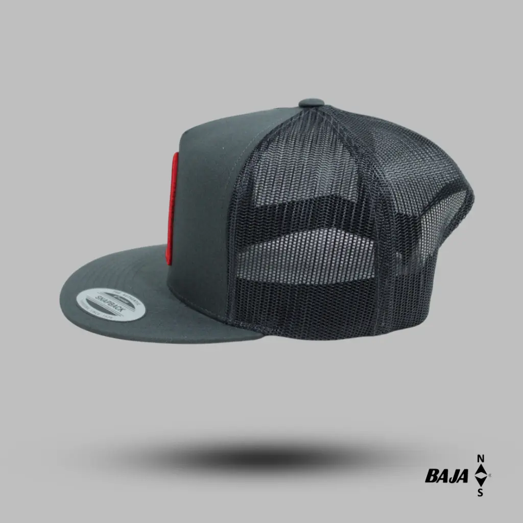PW17.webp