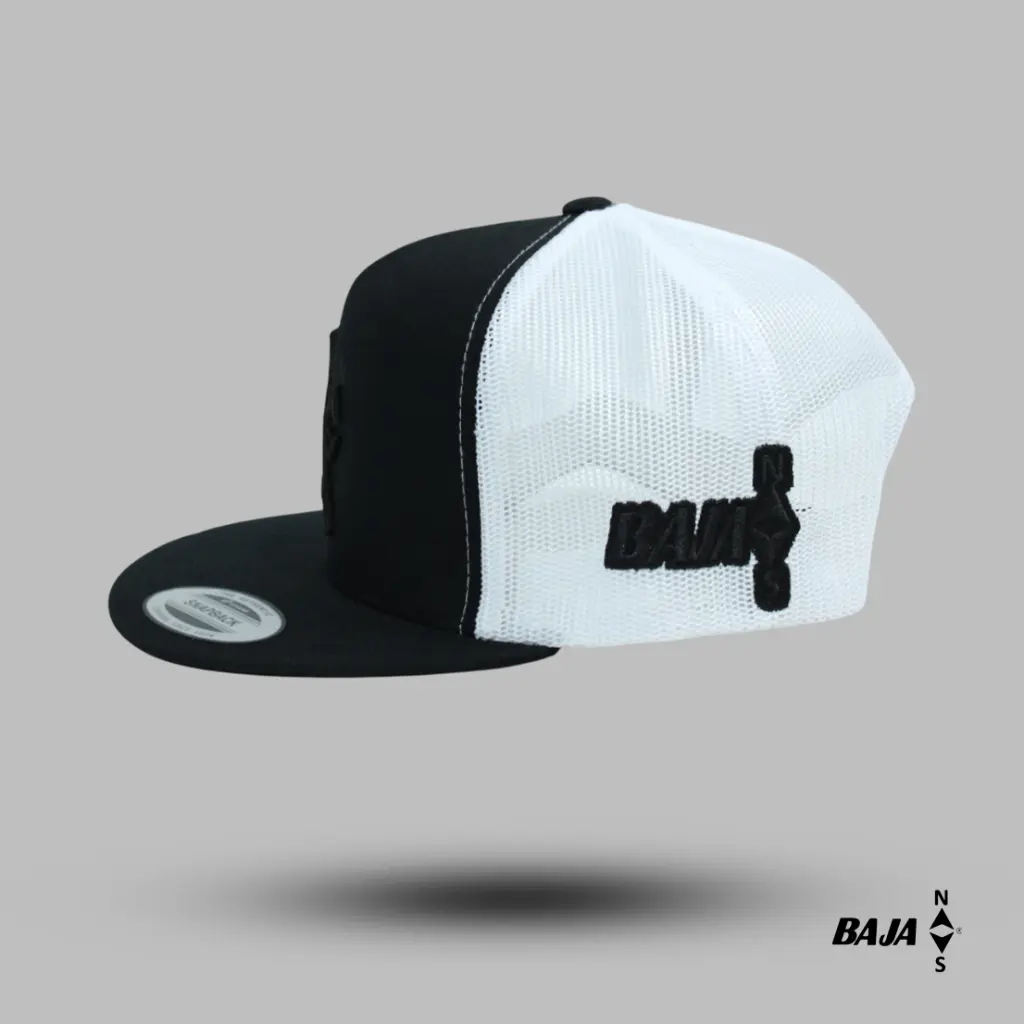 PW16.webp