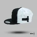 PW16.webp