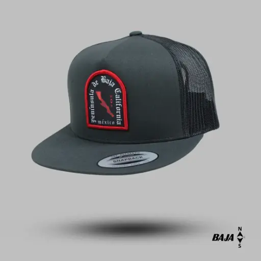 Gorra Plana Snapback